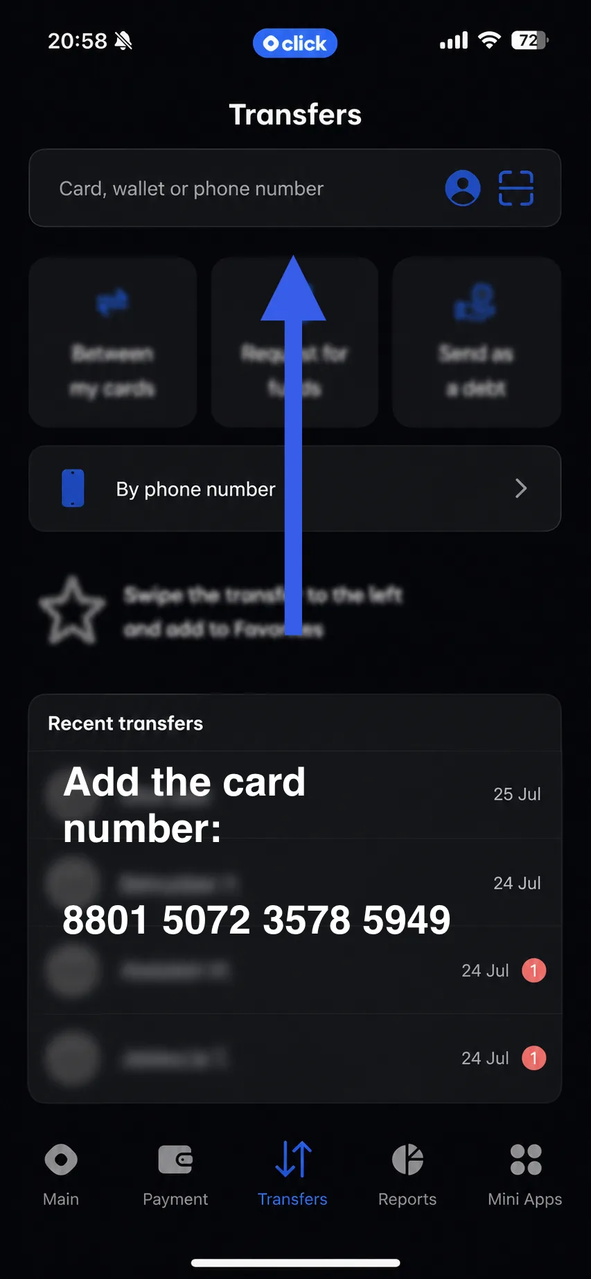 Enter the payment card or wallet number